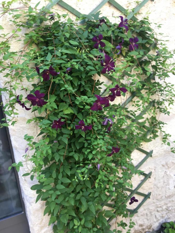 Chambre Sur Jardin Secret - Avignon Centre - Climatisee エクステリア 写真