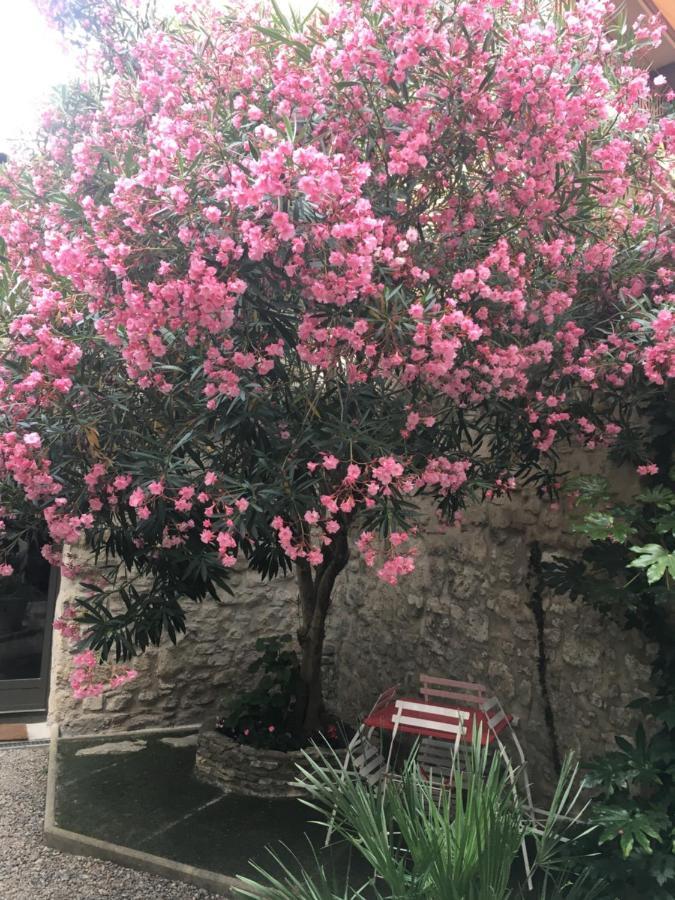 Chambre Sur Jardin Secret - Avignon Centre - Climatisee エクステリア 写真
